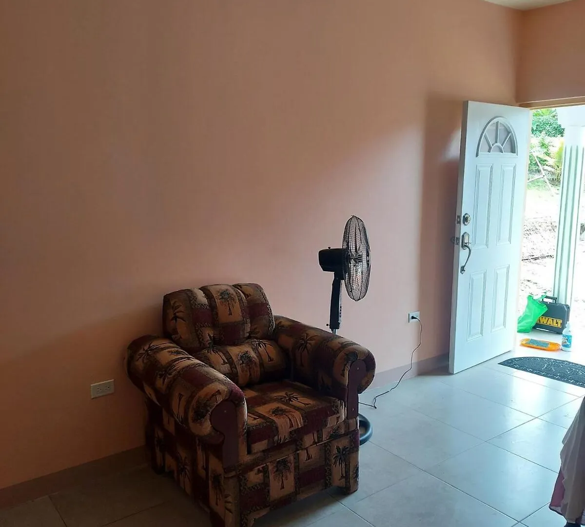 Entire Relaxation Home With Parking Montego Bay